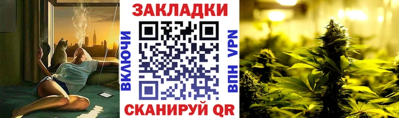 Где купить наркотики Новокубанск Псилоцибиновые грибы  Мефедрон  Кокаин  Гашиш  Марихуана  A PVP 