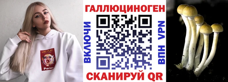 Галлюциногенные грибы Magic Shrooms  Новокубанск 